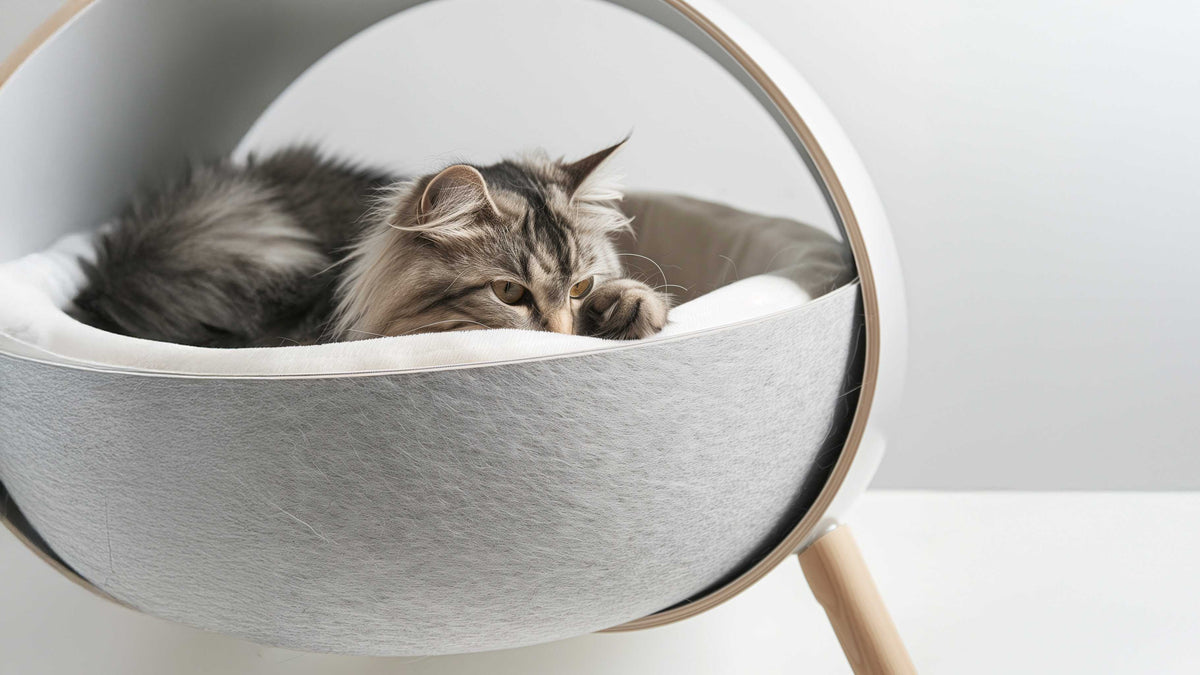 BEDS & COMFORT