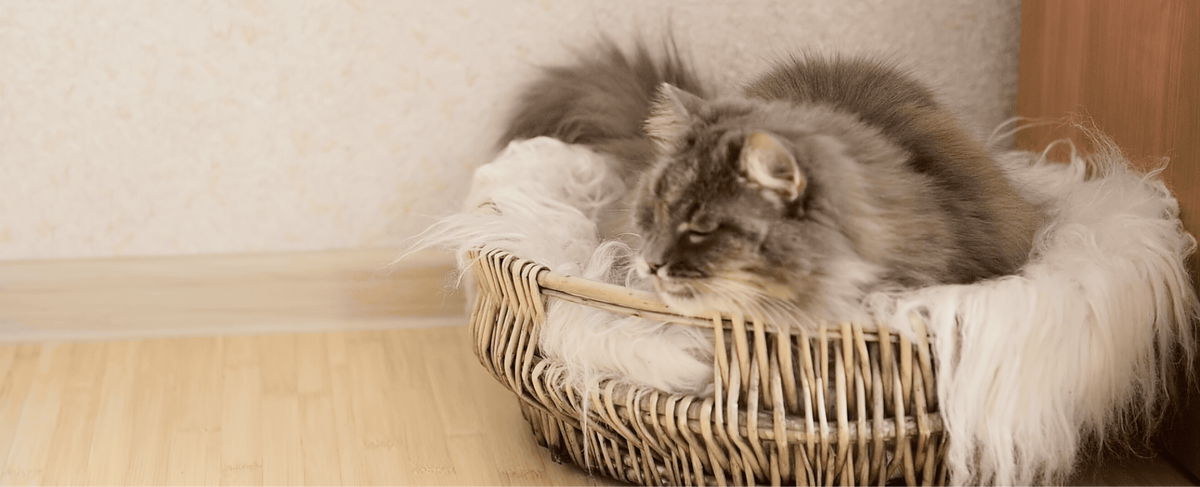 Make home feel better. For both of you.