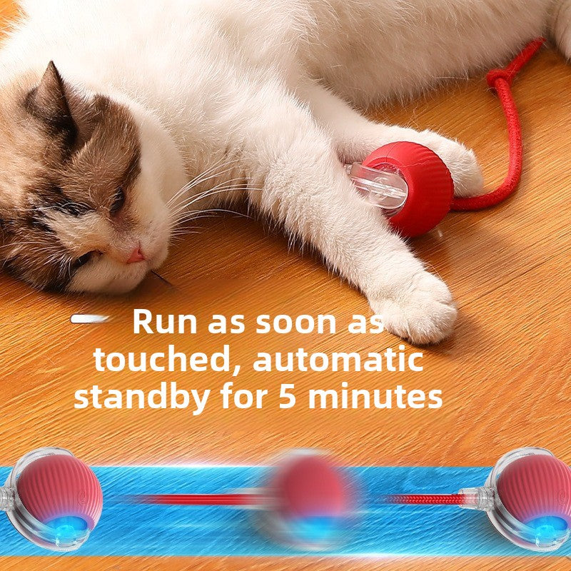 Rolling Ball Smart Small Self-entertaining Cat Play ball